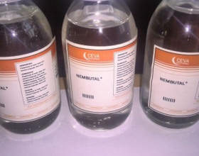 Koupit Nembutal, ketamin, Oxycodone, Amphetamine, ( WhatsApp: +31616337954 / seconalgroup.com )