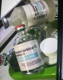 Pentobarbital/Nembutal vente libre {jeandugale@gmail.com} Commander du Nembutal,Pentobarbital de sodium {gscqnz4u@duck.com} Belgique