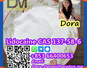 Lidocaine，CAS 137-58-6