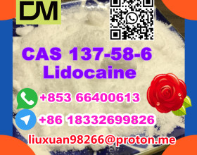 Manufacturer Supply Raw Material CAS 137-58-6 Lidocaine