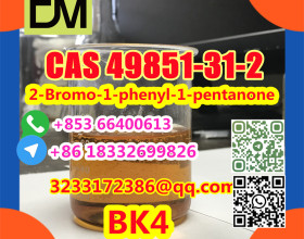 Manufacturer Supply Raw Material CAS 49851-31-2 2-Bromo-1-phenyl-1-pentanone