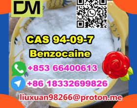 Manufacturer Supply Raw Material CAS 94-09-7 Benzocaine