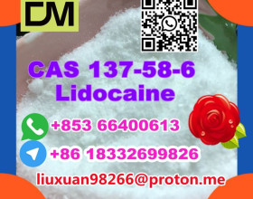 Manufacturer Supply Raw Material CAS 137-58-6 Lidocaine