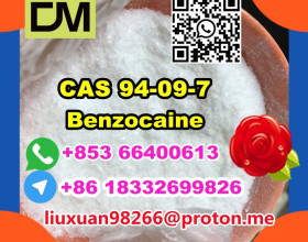 Manufacturer Supply Raw Material CAS 94-09-7 Benzocaine