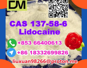 Manufacturer Supply Raw Material CAS 137-58-6 Lidocaine