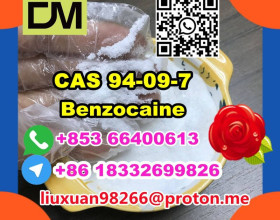 Manufacturer Supply Raw Material CAS 94-09-7 Benzocaine