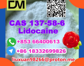 Manufacturer Supply Raw Material CAS 137-58-6 Lidocaine