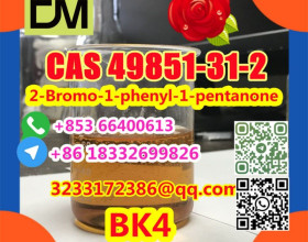 Manufacturer Supply Raw Material CAS 49851-31-2 2-Bromo-1-phenyl-1-pentanone