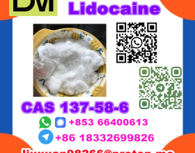 Manufacturer Supply Raw Material CAS 137-58-6 Lidocaine