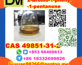 Manufacturer Supply Raw Material CAS 49851-31-2 2-Bromo-1-phenyl-1-pentanone