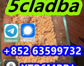 5cladba,5cladba5CLADBA,5CLANDA,5cladba for best