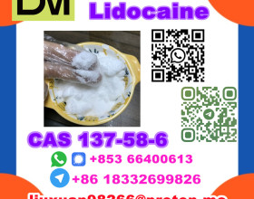 Manufacturer Supply Raw Material CAS 137-58-6 Lidocaine