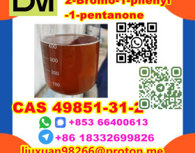 Manufacturer Supply Raw Material CAS 49851-31-2 2-Bromo-1-phenyl-1-pentanone