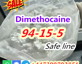 CAS 94-15-5 Buy Online Dimethocaine