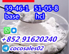 Procaine base cas 59-46-1 Procaine hcl cas 51-05-8 china factory direct sale.