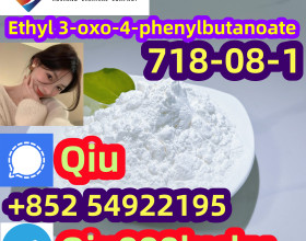 718-08-1 Ethyl 3-oxo-4-phenylbutanoate