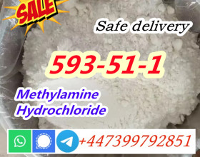 CAS 593-51-1 Methylamine hydrochloride Manufacturer price