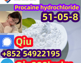 51-05-8 Procaine hydrochloride