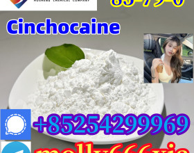 85-79-0  	 Cinchocaine