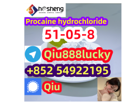 51-05-8 Procaine hydrochloride