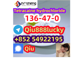 136-47-0 Tetracaine hydrochloride