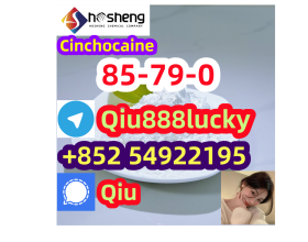 85-79-0 Cinchocaine