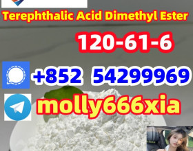 120-61-6	Terephthalic Acid Dimethyl Ester