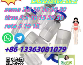 High Quality CAS 910463-68-2 Semaglutide