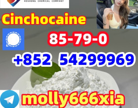 85-79-0	Cinchocaine