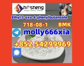 718-08-1	Ethyl 3-oxo-4-phenylbutanoate