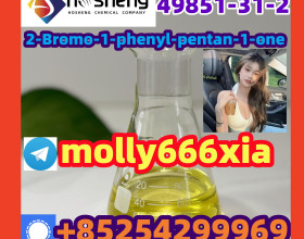 49851-31-2	2-Bromo-1-phenyl-pentan-1-one