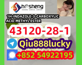 43120-28-1 1H-INDAZOLE-3-CARBOXYLIC ACID METHYL ESTER