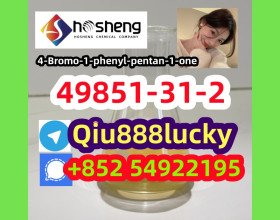 49851-31-2 4-Bromo-1-phenyl-pentan-1-one