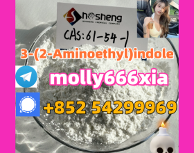 61-54-1 	3-(2-Aminoethyl)indole