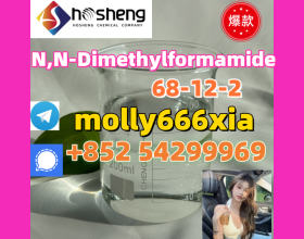 68-12-2	N,N-Dimethylformamide