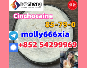 85-79-0	Cinchocaine