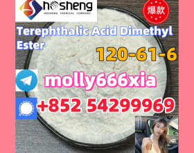 120-61-6	Terephthalic Acid Dimethyl Ester