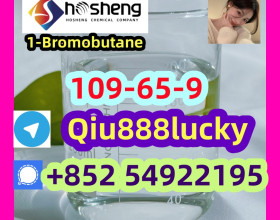 109-65-9 1-Bromobutane