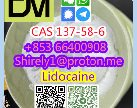 CAS 137-58-6 Lidocaine high quality good price hot sale stock Chinese factory supply and safe fast delivery