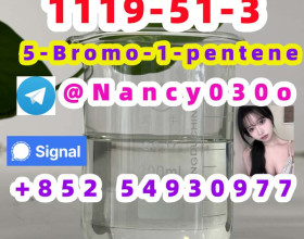 high quality 5-Bromo-1-pentene  1119-51-3