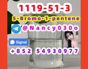 Top quality 5-Bromo-1-pentene (5BP) 1119-51-3 best price