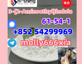 61-54-1 3-(2-Aminoethyl)indole