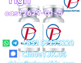 99% Purity Medical Intermediate HGH CAS 12629-01-5 Somatotropin In Stock