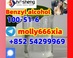 100-51-6	Benzyl alcohol