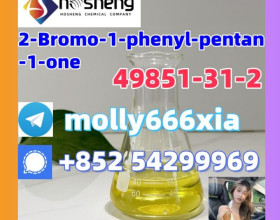 49851-31-2	2-Bromo-1-phenyl-pentan-1-one