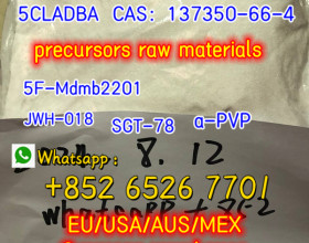 5CLADBA precursor  5CL-ADB apvp  adbb precursor 5cl rwa materials  48 hours, 5-7 days  100% safe  Whatsapp+85265267701