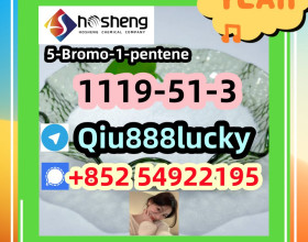 1119-51-3 5-Bromo-1-pentene