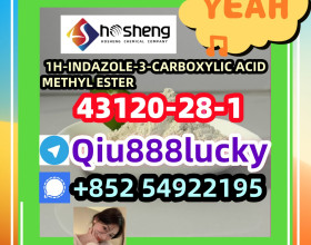 43120-28-1 1H-INDAZOLE-3-CARBOXYLIC ACID METHYL ESTER