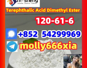 120-61-6	Terephthalic Acid Dimethyl Ester