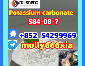 584-08-7	Potassium carbonate